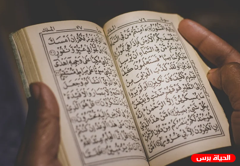 المفتي يستنكر محاولة حرق القرآن الكريم في السويد
